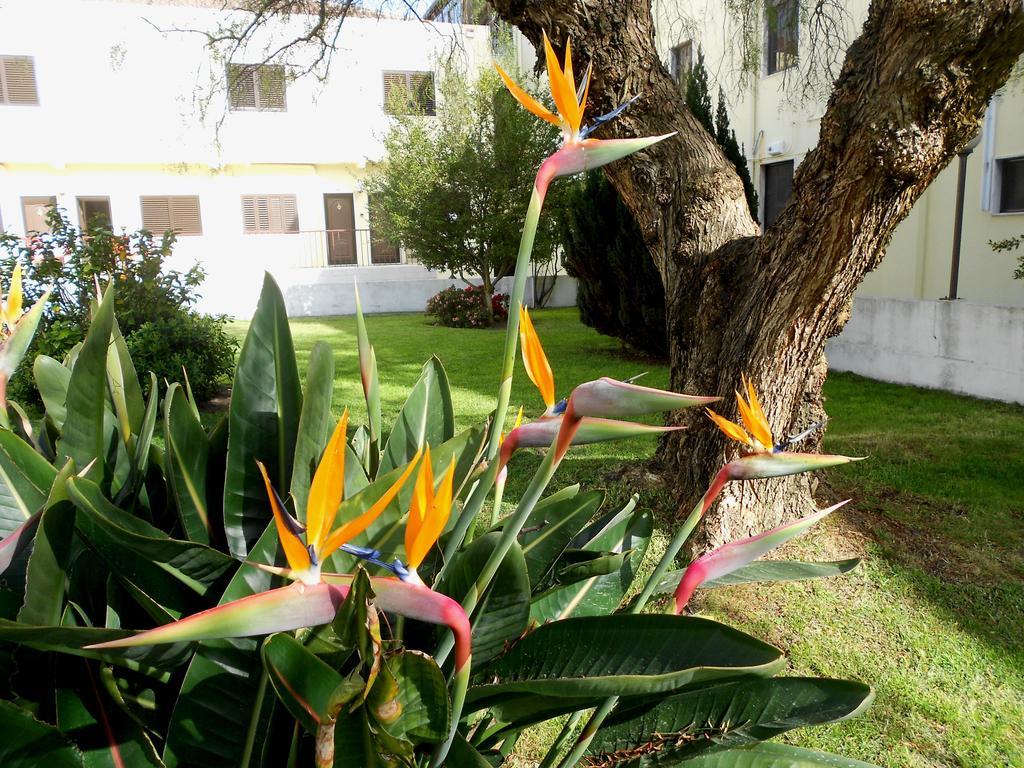 Quinta Valenciana Hotel Seixal  Exterior foto